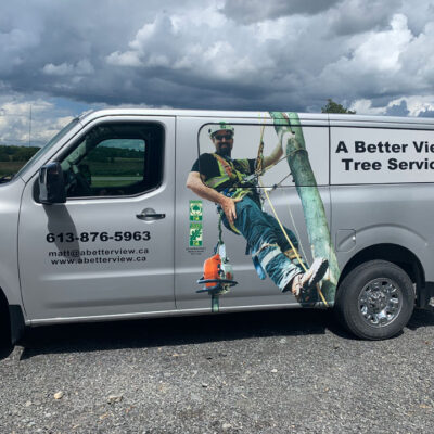 A Better View Tree Service