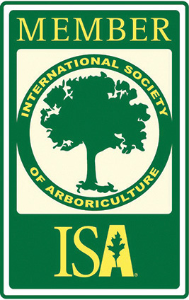 ISA Certified Arborist ON-177AO