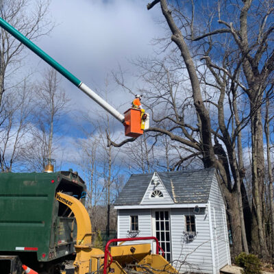 A Better View Tree Service - Kingston