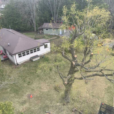 A Better View Tree Service - Kingston